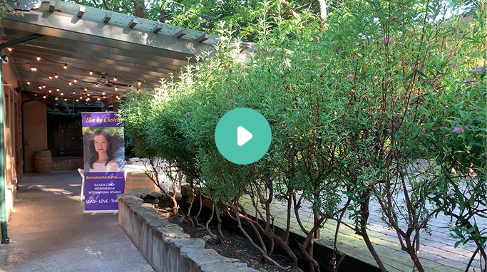 Spark Retreat Video